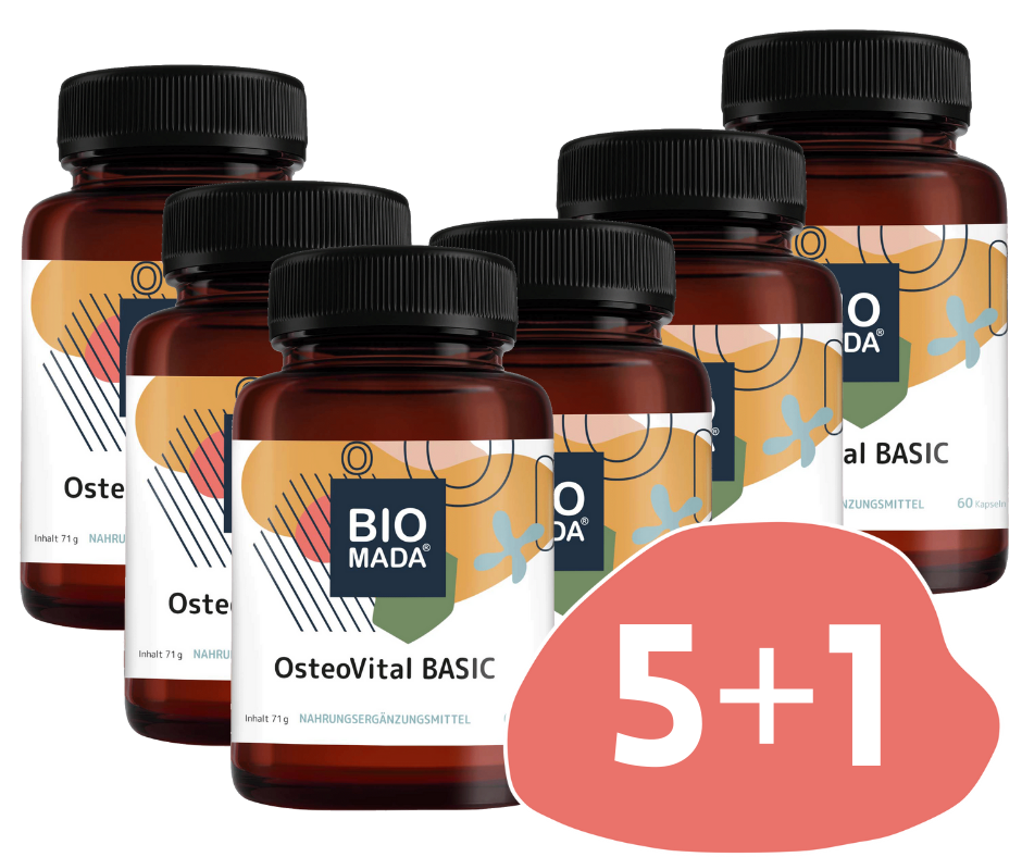 OsteoVital BASIC 5 + 1 gratis